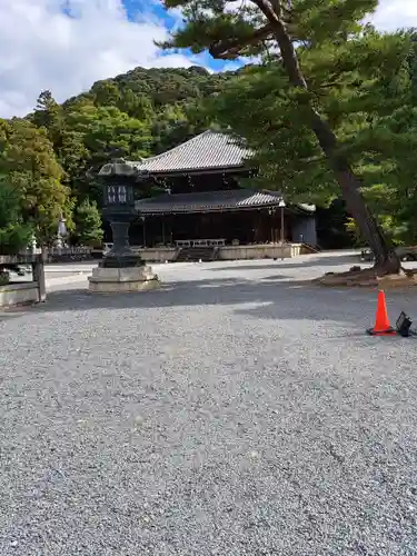 知恩院(京都府)