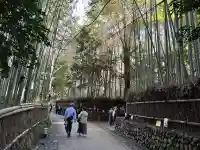 野宮神社(京都府)