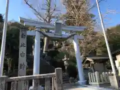 白比古神社の鳥居