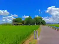 針曽根八幡社の自然