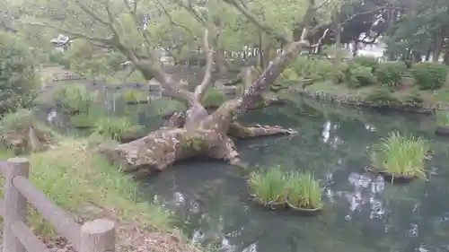 香椎宮の庭園