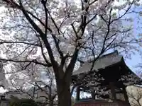 性宗寺(新潟県)