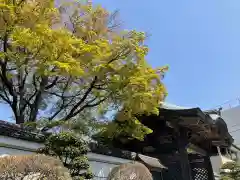 文殊寺の建物その他