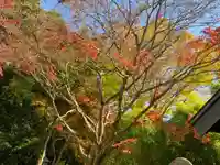 西明寺(栃木県)