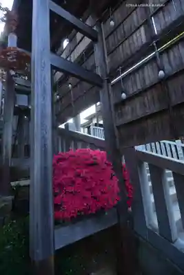 伊勢山皇大神宮(神奈川県)