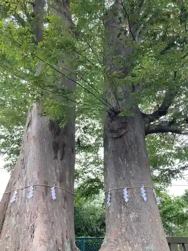 春日神社(東京都)
