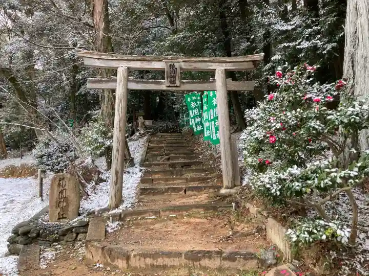 伊太祁曽神社の{uncategorized: "未分類", other: "その他", undefined: "問題あり", building: "その他建物", grave: "お墓", sacred_gate: "鳥居", guardian: "狛犬", statue: "像", buddha: "仏像", history: "歴史", nature: "自然", garden: "庭園", animal: "動物", pagoda: "塔", temizu: "手水舎", mountain_gate: "山門・神門", sanctuary: "本殿・本堂", subordinate: "末社・摂社", art: "芸術", scenery: "景色", jizo: "地蔵", ema: "絵馬", goshuin: "御朱印", omikuji: "おみくじ", items: "授与品その他", amulet: "お守り", goshuincho: "御朱印帳", eats: "食事", festival: "お祭り", votive_dance: "神楽", shichigosan: "七五三参", wedding: "結婚式", experience: "体験その他", initially: "初詣", around: "周辺", anti_infection: "感染症対策"}