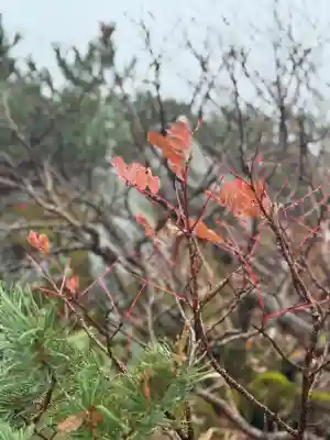 信州駒ヶ岳神社(長野県)