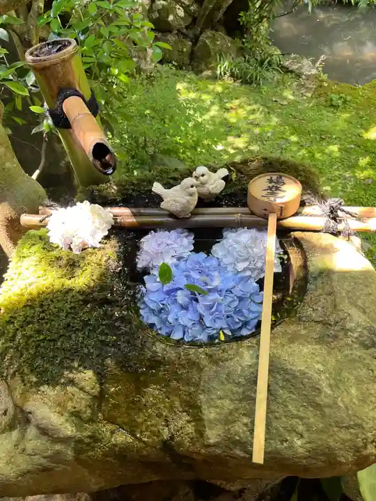 柳谷観音 楊谷寺(京都府)