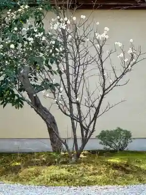 廬山寺(廬山天台講寺)(京都府)