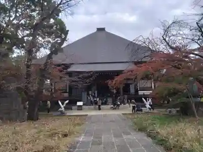 淨眞寺の本殿・本堂