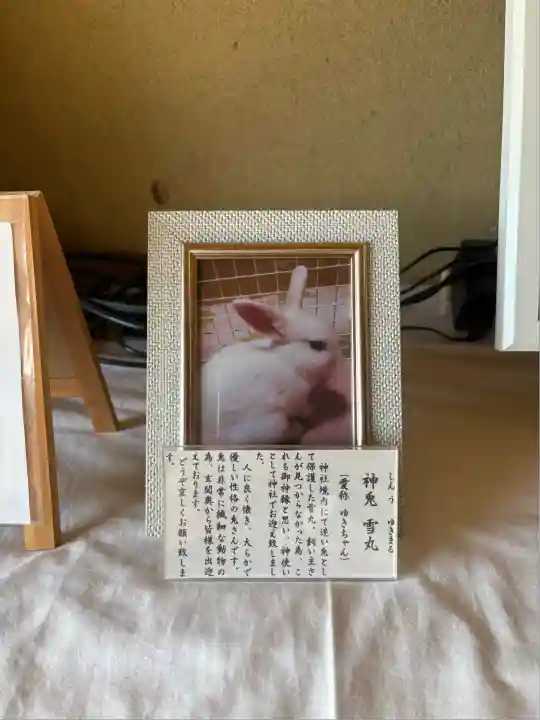 蹉跎神社(大阪府)