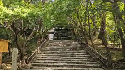 龍安寺(京都府)
