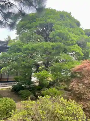 光明寺(宮城県)