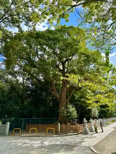 和泉國一之宮　大鳥大社(大阪府)