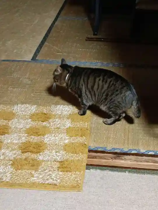 常光寺(長野県)