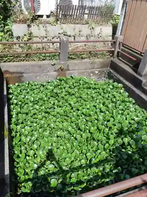 善応寺(茨城県)