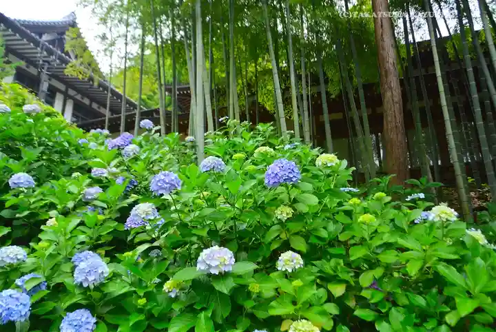 円覚寺(神奈川県)