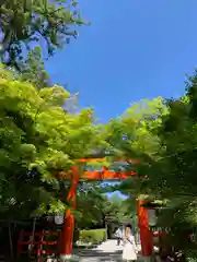 賀茂御祖神社（下鴨神社）(京都府)