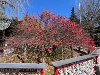 冠稲荷神社(群馬県)
