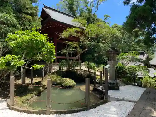 清水寺の庭園