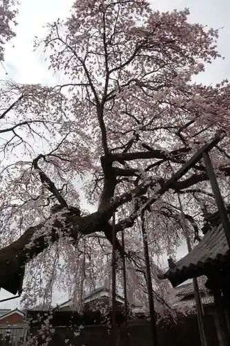 心念寺(三重県)