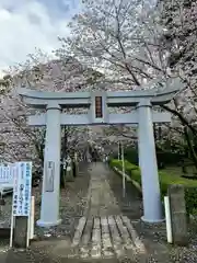 豊葦原神社の鳥居