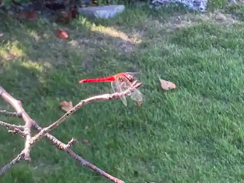 大船観音寺(神奈川県)