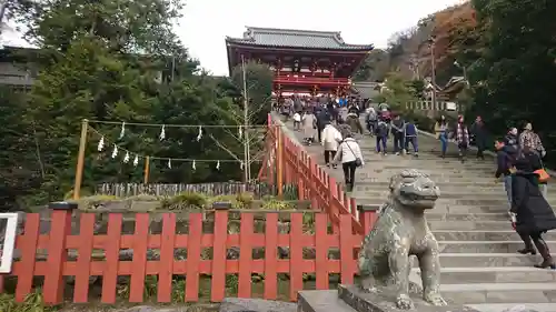 鶴岡八幡宮(神奈川県)