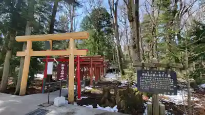 新屋山神社の鳥居