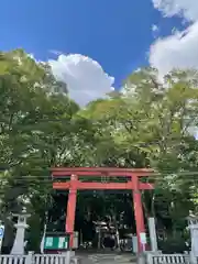 世田谷八幡宮の鳥居