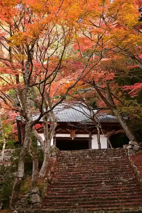 東光寺(滋賀県)
