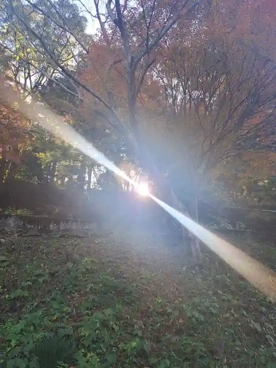 日向大神宮(京都府)