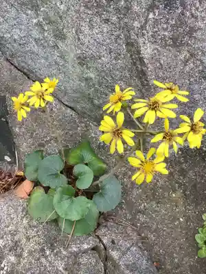 神蔵寺(愛知県)