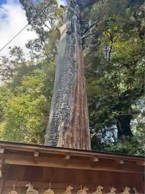 往馬坐伊古麻都比古神社(奈良県)