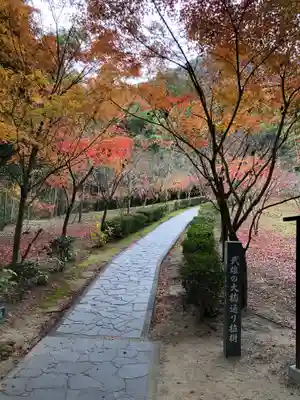 武雄神社の周辺