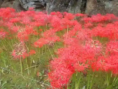 横浜　西方寺(神奈川県)