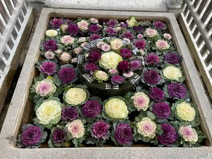 長浜八幡宮の手水舎