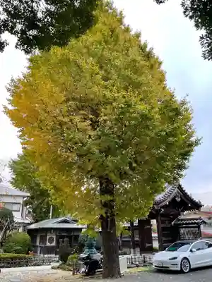 大光寺(神奈川県)