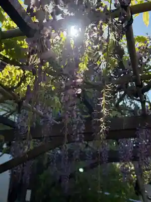 西方山極楽寺(岐阜県)