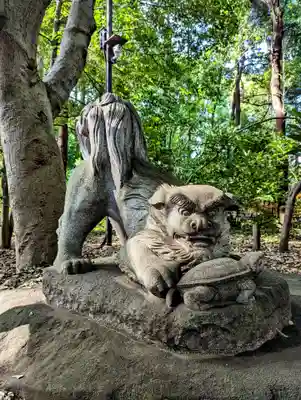 駒木諏訪神社の狛犬