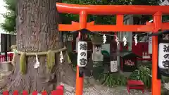 鴻神社の鳥居