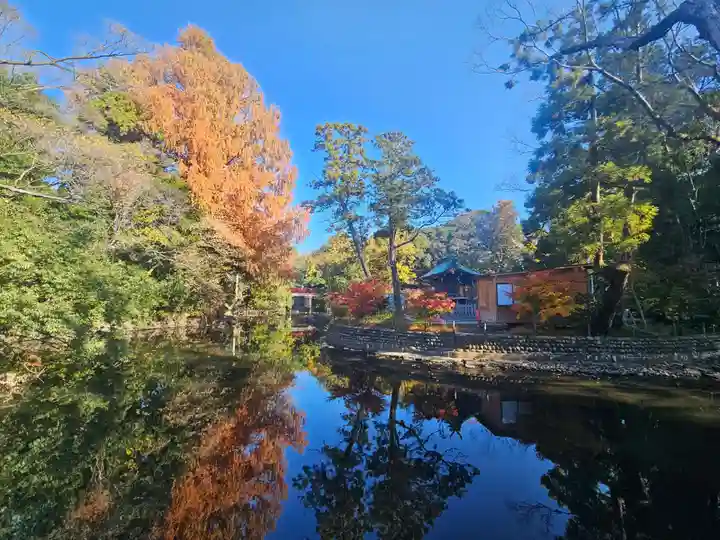 武蔵一宮氷川神社(埼玉県)