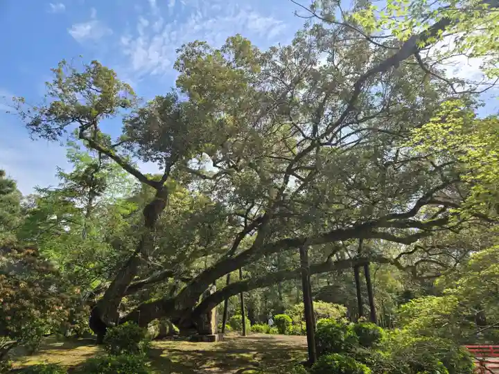 歌泉堂(春日大社神苑萬葉植物園内鎮座)(奈良県)