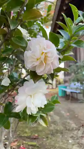 余部神社遥拝所(大阪府)
