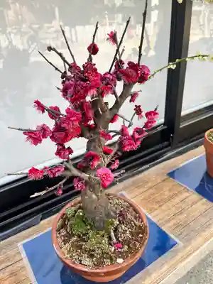 四條畷神社(大阪府)