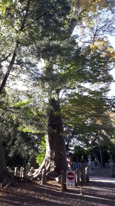 日吉神社(福島県)