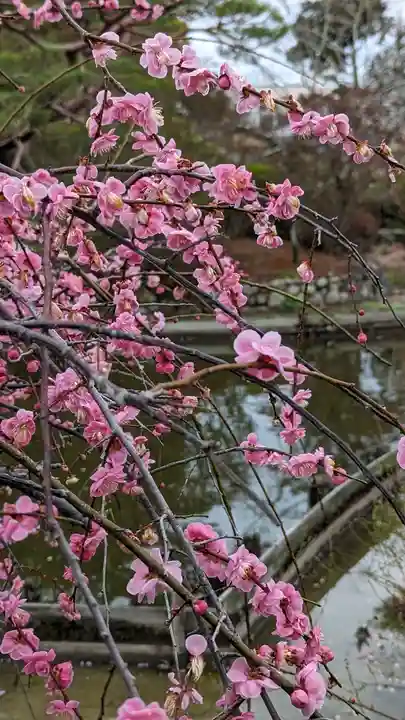 梅宮大社(京都府)