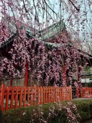 尾崎神社の自然