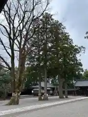 雄山神社前立社壇(富山県)